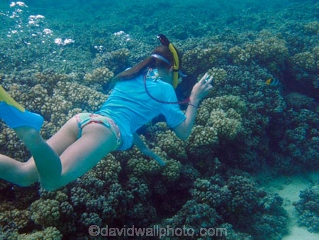 butterflyfish;Chaetodon-ulietensis;Chaetodontidae;child;children;coast;coastal;coasts;coral;coral-reef;coral-reefs;corals;dive;diver;divers;diving;Double-Saddle-Butterfly-fish;Double-Saddle-Butterflyfish;Doublesaddle-Butterfly-fish;Doublesaddle-Butterflyfish;False-Falcula-Butterfly-fish;False-Falcula-Butterflyfish;False-Furcula-Butterflyfish;Fij;Fiji;Fiji-Islands;fish;fishes;girl;girls;island;islands;kid;kids;Malolo-Lailai-Is;Malolo-Lailai-Island;Malololailai-Is;Malololailai-Island;Mamanuca-Group;Mamanuca-Is;Mamanuca-Island-Group;Mamanuca-Islands;Mamanucas;marine;marine-environment;marine-life;marinelife;ocean;oceanlife;Pacific;Pacific-Double_saddle-Butterflyfish;Pacific-Island;Pacific-Islands;people;person;Plantation-Is;Plantation-Is-Resort;Plantation-Island;Plantation-Island-Resort;reef;reefs;Saddled-Butterfly-fish;Saddled-Butterflyfish;sea;sealife;snorkeller;snorkellers;snorkelling;South-Pacific;tourism;tourist;tourists;tropical-fish;tropical-island;tropical-islands;tropical-reef;tropical-reefs;under-water;under_water;undersea;underwater;underwater-photo;underwater-photography;underwater-photos;water;young-girl;young-snorkeller