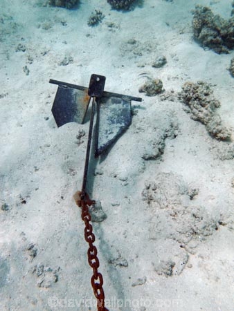 anchor;anchors;coast;coastal;coasts;coral-reef;coral-reefs;diving;Fij;Fiji;Fiji-Islands;island;islands;Malolo-Lailai-Is;Malolo-Lailai-Island;Malololailai-Is;Malololailai-Island;Mamanuca-Group;Mamanuca-Is;Mamanuca-Island-Group;Mamanuca-Islands;Mamanucas;marine;marine-life;marinelife;ocean;oceanlife;Pacific;Pacific-Island;Pacific-Islands;Plantation-Is;Plantation-Is-Resort;Plantation-Island;Plantation-Island-Resort;reef;reefs;sea;sealife;snorkelling;South-Pacific;tropical-island;tropical-islands;tropical-reef;tropical-reefs;under-water;under_water;undersea;underwater;underwater-photo;underwater-photography;underwater-photos;water