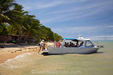 beach;beaches;boat;boats;coast;coastal;coastline;cruise;cruises;excursion;Fij;Fiji-Islands;Fijian-village;Fijian-villages;island;islands;launch;launches;Malolo-Is;Malolo-Island;Mamanuca-Is;Mamanuca-Islands;Mamanucas;Pacific;palm;palm-tree;palm-trees;palms;people;person;pleasure-boat;pleasure-boats;sand;sandy;Shell-Village;Shell-Village-trip;shore;shoreline;Solevu;Solevu-Village;South-Pacific;speed-boat;speed-boats;tour;tour-boat;tour-boats;tourism;tourist;tourist-boat;tourist-boats;tourists;tours;village;villages;water