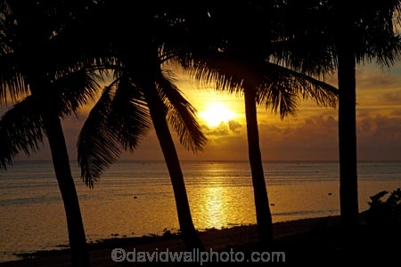 bronze;coast;coastal;coastline;coastlines;coasts;coconut-palm;coconut-palm-tree;coconut-palm-trees;coconut-palms;Coral-Coast;dusk;evening;Fij;Fiji-Islands;foreshore;Korotogo;nightfall;ocean;Pacific;Pacific-Ocean;palm;palm-tree;palm-trees;palms;sea;shore;shoreline;shorelines;shores;Sigatoka;silhouette;silhouettes;sky;South-Pacific;sunset;sunsets;tropical-island;tropical-islands;twilight;Viti-Levu;Viti-Levu-Island;water