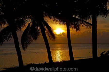 bronze;coast;coastal;coastline;coastlines;coasts;coconut-palm;coconut-palm-tree;coconut-palm-trees;coconut-palms;Coral-Coast;dusk;evening;Fij;Fiji-Islands;foreshore;Korotogo;nightfall;ocean;Pacific;Pacific-Ocean;palm;palm-tree;palm-trees;palms;sea;shore;shoreline;shorelines;shores;Sigatoka;silhouette;silhouettes;sky;South-Pacific;sunset;sunsets;tropical-island;tropical-islands;twilight;Viti-Levu;Viti-Levu-Island;water