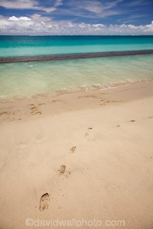 aqua;aquamarine;beach;beaches;blue;clean-water;clear-water;coast;coastal;coastline;coastlines;coasts;cobalt-blue;cobalt-ultramarine;cobaltultramarine;Coral-Coast;Fij;Fiji;Fiji-Islands;foot-print;foot-prints;footprint;footprints;footstep;footsteps;foreshore;Natadola;Natadola-Beach;Natadola-Harbor;Natadola-Harbour;ocean;oceans;Pacific;Pacific-Ocean;paradise;sand;sandy;sea;seas;shore;shoreline;South-Pacific;surf;teal-blue;tropical-island;tropical-islands;turquoise;Viti-Levu;wave;waves
