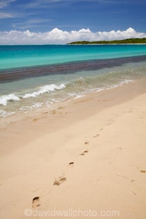 aqua;aquamarine;beach;beaches;blue;clean-water;clear-water;coast;coastal;coastline;coastlines;coasts;cobalt-blue;cobalt-ultramarine;cobaltultramarine;Coral-Coast;Fij;Fiji;Fiji-Islands;foot-print;foot-prints;footprint;footprints;footstep;footsteps;foreshore;Natadola;Natadola-Beach;Natadola-Harbor;Natadola-Harbour;ocean;oceans;Pacific;Pacific-Ocean;paradise;sand;sandy;sea;seas;shore;shoreline;South-Pacific;surf;teal-blue;tropical-island;tropical-islands;turquoise;Viti-Levu;wave;waves