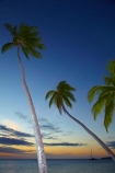 coast;coastal;coastline;coastlines;coasts;dusk;evening;Fij;Fiji;Fiji-Islands;foreshore;holiday;holiday-resort;holiday-resorts;holidays;Malolo-Lailai-Is;Malolo-Lailai-Island;Malololailai-Is;Malololailai-Island;Mamanuca-Group;Mamanuca-Is;Mamanuca-Island-Group;Mamanuca-Islands;Mamanucas;nightfall;ocean;Pacific;Pacific-Island;Pacific-Islands;palm;palm-frond;palm-fronds;palm-tree;palm-trees;palms;Plantation-Is;Plantation-Is-Resort;Plantation-Island;Plantation-Island-Resort;resort;resort-hotel;resort-hotels;resorts;sea;shore;shoreline;shorelines;shores;sky;South-Pacific;sunset;sunsets;tropical-island;tropical-islands;twilight;vacation;vacations;water