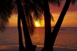 beach;beaches;calm;coast;coastal;coastline;coastlines;coasts;dusk;evening;Fij;Fiji;Fiji-Islands;foreshore;holiday;holiday-resort;holiday-resorts;holidays;Malolo-Lailai-Is;Malolo-Lailai-Island;Malololailai-Is;Malololailai-Island;Mamanuca-Group;Mamanuca-Is;Mamanuca-Island-Group;Mamanuca-Islands;Mamanucas;nightfall;ocean;orange;Pacific;Pacific-Island;Pacific-Islands;palm;palm-frond;palm-fronds;palm-tree;palm-trees;palms;placid;Plantation-Is;Plantation-Is-Resort;Plantation-Island;Plantation-Island-Resort;quiet;reflection;reflections;resort;resort-hotel;resort-hotels;resorts;sand;sandy;sea;serene;shore;shoreline;shorelines;shores;sky;smooth;South-Pacific;still;sunset;sunsets;tranquil;tropical-island;tropical-islands;twilight;vacation;vacations;water