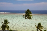 aqua;aquamarine;blue;clean-water;clear-water;coast;coastal;coastline;coastlines;coasts;cobalt-blue;cobalt-ultramarine;cobaltultramarine;coconut-palm;coconut-palm-tree;coconut-palm-trees;coconut-palms;Coral-Coast;coral-reef;coral-reefs;Crusoes-Resort;Crusoes-Retreat;Crusoes-Resort;Crusoes-Retreat;Fij;Fiji-Islands;foreshore;holiday;holiday-resort;holiday-resorts;holidays;island;islands;ocean;Pacific;Pacific-Island;Pacific-Islands;palm;palm-tree;palm-trees;palms;reef;reefs;resort;resorts;sea;shore;shoreline;shorelines;shores;South-Pacific;teal-blue;tropical-island;tropical-islands;tropical-reef;tropical-reefs;turquoise;vacation;vacations;Viti-Levu;Viti-Levu-Is;Viti-Levu-Island;water