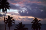 cloud;clouds;cloudy;coconut-palm;coconut-palm-tree;coconut-palm-trees;coconut-palms;Coral-Coast;Crusoes-Resort;Crusoes-Retreat;Crusoes-Resort;Crusoes-Retreat;dusk;evening;Fij;Fiji-Islands;holiday;holiday-resort;holiday-resorts;holidays;island;islands;nightfall;Pacific;palm;palm-tree;palm-trees;palms;pink;resort;resorts;sky;South-Pacific;sunset;sunsets;twilight;vacation;vacations;Viti-Levu;Viti-Levu-Is;Viti-Levu-Island