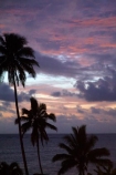 cloud;clouds;cloudy;coconut-palm;coconut-palm-tree;coconut-palm-trees;coconut-palms;Coral-Coast;Crusoes-Resort;Crusoes-Retreat;Crusoes-Resort;Crusoes-Retreat;dusk;evening;Fij;Fiji-Islands;holiday;holiday-resort;holiday-resorts;holidays;island;islands;nightfall;Pacific;palm;palm-tree;palm-trees;palms;pink;resort;resorts;sky;South-Pacific;sunset;sunsets;twilight;vacation;vacations;Viti-Levu;Viti-Levu-Is;Viti-Levu-Island