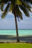 aqua;aquamarine;blue;clean-water;clear-water;coast;coastal;coastline;coastlines;coasts;cobalt-blue;cobalt-ultramarine;cobaltultramarine;coconut-palm;coconut-palm-tree;coconut-palm-trees;coconut-palms;Coral-Coast;coral-reef;coral-reefs;Crusoes-Resort;Crusoes-Retreat;Crusoes-Resort;Crusoes-Retreat;Fij;Fiji-Islands;foreshore;holiday;holiday-resort;holiday-resorts;holidays;island;islands;ocean;Pacific;Pacific-Island;Pacific-Islands;palm;palm-tree;palm-trees;palms;reef;reefs;resort;resorts;sea;shore;shoreline;shorelines;shores;South-Pacific;teal-blue;tropical-island;tropical-islands;tropical-reef;tropical-reefs;turquoise;vacation;vacations;Viti-Levu;Viti-Levu-Is;Viti-Levu-Island;water