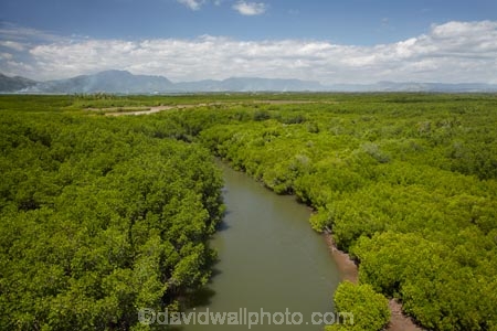 aerial;aerial-photo;aerial-photograph;aerial-photographs;aerial-photography;aerial-photos;aerial-view;aerial-views;aerials;Denarau-Is;Denarau-Island;Fij;Fiji;Fiji-Islands;mangrove;mangrove-swamp;mangrove-swamps;mangroves;Pacific;Pacific-Island;Pacific-Islands;South-Pacific;Viti-Levu
