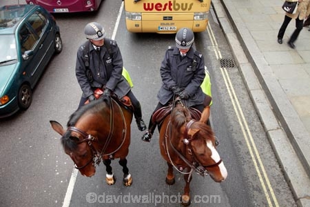 Britain;brown-horse;brown-horses;chestnut-horse;chestnut-horses;England;equestrian;equine;Europe;G.B.;GB;Great-Britain;horse;horse-police;horse-riding;horses;London;Metropolitan-Police;Mounted-Branch;mounted-police;pc;police;police-constable;policeman;policemen;policewoman;policewomen;street-scene;street-scenes;U.K.;UK;United-Kingdom;wpc
