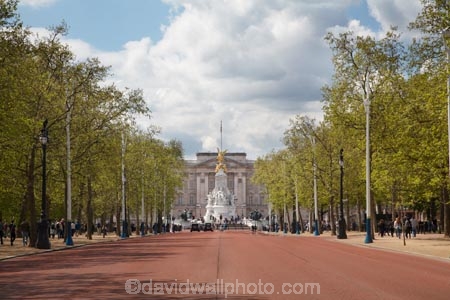 Britain;Buckingham-House;Buckingham-Palace;City-of-Westminster;England;Europe;G.B.;GB;Great-Britain;London;palace;palaces;Royal-Parks-of-London;Saint-James-Park;Saint-Jamess-Park;season;seasonal;seasons;spring;springtime;St-James-Park;St-Jamess-Park;St.-James-Park;St.-Jamess-Park;The-Mall;U.K.;UK;United-Kingdom;Westminster