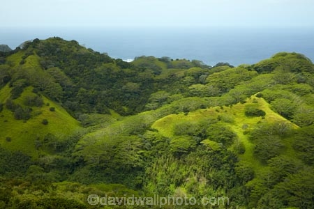 bush;Cook-Is;Cook-Islands;forest;forests;Mt-Raemaru;ocean;Pacific;Pacific-Ocean;Raemaru-Mountain;Raemaru-Mtn;Rarotonga;South-Pacific;Takitoa-Ridge;Takitoa-Ridge-Track;Takitoa-Track;tropical-forest;tropical-forests;view;views;vista