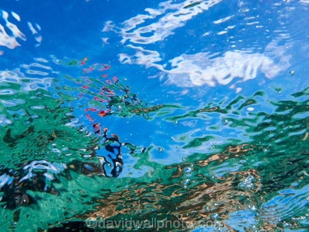 abstract;aquamarine;azure;blue;clean-water;clear-water;cobalt;cobalt-blue;cobalt-ultramarine;cobaltultramarine;Cook-Is;Cook-Islands;Pacific;paradise;pattern;patterns;Rarotonga;South-Pacific;surface-water;teal;tropcial-water;tropical;tropical-island;tropical-islands;tropical-paradise;turquoise;ultramarine;water;water-pattern;water-patterns