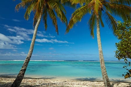 aquamarine;azure;beach;beaches;blue;clean-water;clear-water;cobalt;cobalt-blue;cobalt-ultramarine;cobaltultramarine;Coconut-palm;Coconut-palm-tree;Coconut-palm-trees;Coconut-palms;Coconut-tree;Coconut-trees;Cook-Is;Cook-Islands;frond;fronds;Pacific;palm;palm-frond;palm-fronds;palm-tree;palm-trees;palms;paradise;Rarotonga;South-Pacific;teal;tropcial-water;tropical;tropical-beach;tropical-island;tropical-islands;tropical-palm-tree;tropical-paradise;turquoise;ultramarine;water