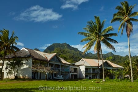 abandon;abandoned;building;buildings;character;Cook-Is;Cook-Islands;derelict;derelict-building;dereliction;deserted;desolate;desolation;destruction;ghost-town;ghost-towns;heritage;historic;historic-building;historic-buildings;Historic-Ruins;historical;historical-building;historical-buildings;history;holiday;holiday-resort;holiday-resorts;hotel;hotels;neglect;neglected;Pacific;palm;palm-tree;palm-trees;palms;Rarotonga;resort;resort-hotel;resort-hotels;resorts;ruin;ruins;run-down;rustic;Sheraton;Sheraton-Hotel;Sheraton-Hotels;South-Pacific;tropical-palm-tree;Vaimaanga;Vaimaanga-Hotel;Vaimaanga-Tapere