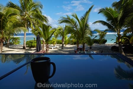 accommodation;Aorangi;Aorangi-District;Beachfront-Apartment;Beachfront-Apartments;Coffee;Cook-Is;Cook-Islands;holiday;Pacific;palm;palm-tree;palm-trees;palms;Rarotonga;reflection;reflections;South-Pacific;table;tables;tropical;tropical-island;tropical-islands;tropical-palm-tree