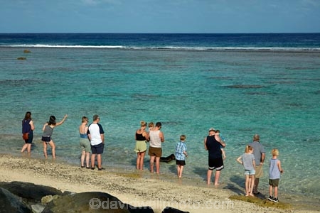 activity;Aorangi;Aorangi-District;beach;beaches;Cook-Is;Cook-Islands;Edgewater;Edgewater-Resort;Edgewater-Resort-amp;-Spa;Edgewater-Resort-and-Spa;feeding;fish;fish-feeding;holiday;holiday-resort;holiday-resorts;holidays;hotel;hotels;Pacific;people;person;Rarotonga;resort;resort-hotel;resort-hotels;resorts;South-Pacific;tourism;tourist;tourists;tropical;tropical-beach;tropical-island;tropical-islands;vacation;vacations