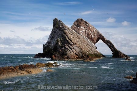 Banffshire;Bow-Fiddle-Rock;Britain;British-Isles;coast;coastal;coastline;coastlines;coasts;foreshore;G.B.;GB;geological;geology;Great-Britain;island;islands;large-sea-arch;Moray;Moray-Firth;natural-arch;natural-arches;natural-bridge;natural-bridges;natural-geological-formation;natural-geological-formations;North-Sea;northeast-Scotland;ocean;Portknockie;quartzite-rock;rock;rock-arch;rock-arches;rock-formation;rock-formations;rock-outcrop;rock-outcrops;rock-tor;rock-torr;rock-torrs;rock-tors;rocks;rocky;Scotland;sea;sea-arch;sea-arches;shore;shoreline;shorelines;shores;stone;U.K.;UK;United-Kingdom;unusual-natural-feature;unusual-natural-features;unusual-natural-formation;unusual-natural-formations;water