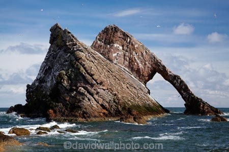 Banffshire;Bow-Fiddle-Rock;Britain;British-Isles;coast;coastal;coastline;coastlines;coasts;foreshore;G.B.;GB;geological;geology;Great-Britain;island;islands;large-sea-arch;Moray;Moray-Firth;natural-arch;natural-arches;natural-bridge;natural-bridges;natural-geological-formation;natural-geological-formations;North-Sea;northeast-Scotland;ocean;Portknockie;quartzite-rock;rock;rock-arch;rock-arches;rock-formation;rock-formations;rock-outcrop;rock-outcrops;rock-tor;rock-torr;rock-torrs;rock-tors;rocks;rocky;Scotland;sea;sea-arch;sea-arches;shore;shoreline;shorelines;shores;stone;U.K.;UK;United-Kingdom;unusual-natural-feature;unusual-natural-features;unusual-natural-formation;unusual-natural-formations;water