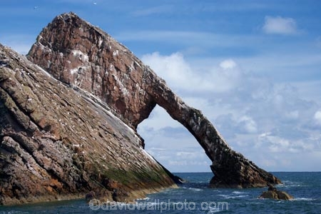 Banffshire;Bow-Fiddle-Rock;Britain;British-Isles;coast;coastal;coastline;coastlines;coasts;foreshore;G.B.;GB;geological;geology;Great-Britain;island;islands;large-sea-arch;Moray;Moray-Firth;natural-arch;natural-arches;natural-bridge;natural-bridges;natural-geological-formation;natural-geological-formations;North-Sea;northeast-Scotland;ocean;Portknockie;quartzite-rock;rock;rock-arch;rock-arches;rock-formation;rock-formations;rock-outcrop;rock-outcrops;rock-tor;rock-torr;rock-torrs;rock-tors;rocks;rocky;Scotland;sea;sea-arch;sea-arches;shore;shoreline;shorelines;shores;stone;U.K.;UK;United-Kingdom;unusual-natural-feature;unusual-natural-features;unusual-natural-formation;unusual-natural-formations;water