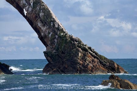 Banffshire;Bow-Fiddle-Rock;Britain;British-Isles;coast;coastal;coastline;coastlines;coasts;foreshore;G.B.;GB;geological;geology;Great-Britain;island;islands;large-sea-arch;Moray;Moray-Firth;natural-arch;natural-arches;natural-bridge;natural-bridges;natural-geological-formation;natural-geological-formations;North-Sea;northeast-Scotland;ocean;Portknockie;quartzite-rock;rock;rock-arch;rock-arches;rock-formation;rock-formations;rock-outcrop;rock-outcrops;rock-tor;rock-torr;rock-torrs;rock-tors;rocks;rocky;Scotland;sea;sea-arch;sea-arches;shore;shoreline;shorelines;shores;stone;U.K.;UK;United-Kingdom;unusual-natural-feature;unusual-natural-features;unusual-natural-formation;unusual-natural-formations;water