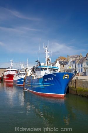 Aberdeenshire;Banff;Banff-and-Macduff;Banff-Bay;Banffshire;BF803;boat;boats;Britain;British-Isles;Carina;coast;coastal;coastline;coastlines;coasts;commercial-fishing-boat;commercial-fishing-boats;Crook-O-Ness-St;Crook-O-Ness-Street;dock;docks;fishing-boat;fishing-boats;G.B.;GB;Great-Britain;harbor;harbors;harbour;harbours;Macduff;Macduff-Harbor;Macduff-Harbour;quay;quays;Scotland;shore;shoreline;shorelines;shores;trawler;trawlers;U.K.;UK;United-Kingdom;waterside;wharf;wharfes;wharves