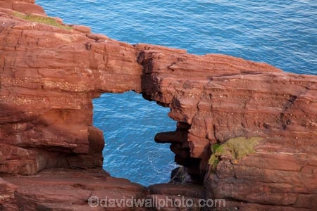 Angus;Arbroath;Arbroath-Path-Network;Britain;British-Isles;eroded;erosion;formation;formations;G.B.;GB;geological-formation;geological-formations;geology;Great-Britain;Hole-in-Rock;natural;natural-landscape;natural-landscapes;North-Sea;ocean;oceans;Old-Red-Sandstone;Scotland;sea;seas;Seaton-Cliffs;sedimentary;sedimentary-layers;U.K.;UK;United-Kingdom;unusual-natural-feature;unusual-natural-features