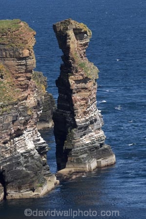 Britain;British-Isles;Caithness;cliff;cliffs;coast;coastal;coastline;coastlines;coasts;column;columns;Duncansby-Head;Duncansby-Sea-Stacks;Duncansby-Stacks;eroded;erosion;foreshore;G.B.;GB;geological;geological-landform;geology;Great-Britain;Highland;Highlands;John-OGroats;Muckle-Stack;North-Sea;ocean;rock;rock-formation;rock-formations;rock-outcrop;rock-outcrops;rock-stack;rock-stacks;rock-tor;rock-torr;rock-torrs;rock-tors;rocks;Scotland;Scottish-Highlands;sea;sea-cliff;sea-cliffs;sea-stack;sea-stacks;shore;shoreline;shorelines;shores;stack;stacks;Stacks-of-Duncansby;stone;The-Knee;U.K.;UK;United-Kingdom;water