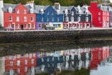 Argyll-and-Bute;Britain;calm;G.B.;GB;Great-Britain;Highlands;Inner-Hebrides;Island-of-Mull;Isle-of-Mull;Main-Street;Mull;Mull-Island;placid;quiet;reflection;reflections;Scotland;Scottish-Highlands;serene;smooth;Sound-of-Mull;still;terrace-house;terrace-houses;terraced-house;terraced-houses;Tobermory;Tobermory-Bay;Tobermory-Harbour;Tobermory-Waterfront;tranquil;U.K.;UK;United-Kingdom;water;waterfront