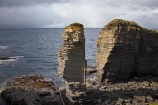 Britain;British-Isles;Caithness;coast;coastal;coastline;coastlines;coasts;column;columns;eroded;erosion;foreshore;formation;formations;G.B.;GB;geological;geological-formation;geological-formations;geological-landform;geology;Great-Britain;Highland;Highlands;layer;layering;layers;natural;natural-landscape;natural-landscapes;North-Sea;Noss-Head;ocean;rock;rock-formation;rock-formations;rock-outcrop;rock-outcrops;rock-stack;rock-stacks;rock-tor;rock-torr;rock-torrs;rock-tors;rocks;Scotland;Scottish-Highlands;sea;sea-stack;sea-stacks;sedimentary-layer;sedimentary-layers;shore;shoreline;shorelines;shores;stack;stacks;stone;strata;stratum;U.K.;UK;United-Kingdom;unusual-natural-feature;unusual-natural-features;water;Wick
