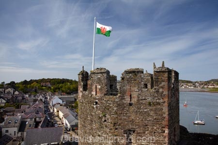 The-Red-Dragon;abandon;abandoned;Afon-Conwy;Baner-Cymru;battlement;battlements;Britain;British-Isles;building;buildings;Castell-Conwy;castellated;castellations;castle;castle-ruins;castles;circa-1287;Conway-Castle;Conwy;Conwy-Castle;crenellation;crenellations;Cymru;derelict;dereliction;deserted;desolate;desolation;Flag-of-Wales;fort;fortification;fortress;fortresses;G.B.;GB;Great-Britain;heritage;historic;historic-building;historic-buildings;historical;historical-building;historical-buildings;history;medieval-castle;medieval-castles;old;River-Conway;River-Conwy;ruin;ruined-castle;ruins;run-down;stone-buidling;stone-buildings;tower;towers;tradition;traditional;turret;turrets;U.K.;UK;UN-world-heritage-site;UNESCO-World-Heritage-Site;United-Kingdom;united-nations-world-heritage-site;Wales;Welsh-Castle;Welsh-Castles;Welsh-Flag;Welsh-flags;world-heritage;World-Heritage-Park;World-Heritage-site;World-Heritage-Sites;Y-Ddraig-Goch