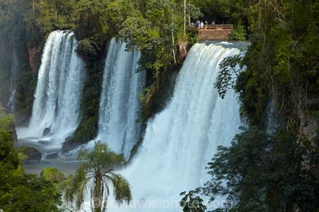 Argentina;Argentine-Republic;border;borders;Brasil;Brazil;cascade;cascades;Cataratas-del-IguazÃº;fall;falls;Iguacu-Falls;Iguacu-National-Park;Iguacu-River;Iguassu-Falls;Iguassu-National-Park;Iguazu-Falls;Iguazu-N.P.;Iguazu-National-Park;Iguazu-NP;Iguazu-River;IguazÃº-Falls;IguazÃº-N.P.;IguazÃº-National-Park;IguazÃº-NP;IguaÃ§u-Falls;IguaÃ§u-National-Park;Latin-America;Misiones;Misiones-Province;national-park;national-parks;natural;nature;Parana;Parana-State;ParanÃ¡;ParanÃ¡-State;scene;scenic;South-America;Sth-America;The-Iguazu-Falls;tourism;travel;UN-world-heritage-area;UN-world-heritage-site;UNESCO-World-Heritage-area;UNESCO-World-Heritage-Site;united-nations-world-heritage-area;united-nations-world-heritage-site;water;water-fall;water-falls;waterfall;waterfalls;wet;world-heritage;world-heritage-area;world-heritage-areas;World-Heritage-Park;World-Heritage-site;World-Heritage-Sites