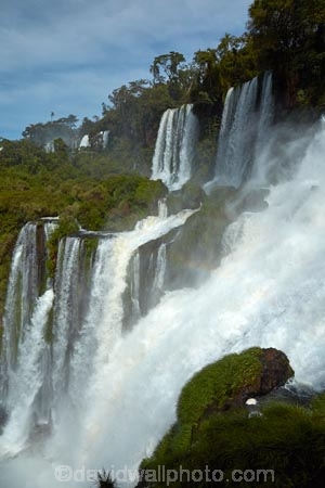 Argentina;Argentine-Republic;border;borders;Brasil;Brazil;cascade;cascades;Cataratas-del-IguazÃº;fall;falls;Iguacu-Falls;Iguacu-National-Park;Iguacu-River;Iguassu-Falls;Iguassu-National-Park;Iguazu-Falls;Iguazu-N.P.;Iguazu-National-Park;Iguazu-NP;Iguazu-River;IguazÃº-Falls;IguazÃº-N.P.;IguazÃº-National-Park;IguazÃº-NP;IguaÃ§u-Falls;IguaÃ§u-National-Park;Latin-America;Misiones;Misiones-Province;national-park;national-parks;natural;nature;Parana;Parana-State;ParanÃ¡;ParanÃ¡-State;scene;scenic;South-America;Sth-America;The-Iguazu-Falls;tourism;travel;UN-world-heritage-area;UN-world-heritage-site;UNESCO-World-Heritage-area;UNESCO-World-Heritage-Site;united-nations-world-heritage-area;united-nations-world-heritage-site;water;water-fall;water-falls;waterfall;waterfalls;wet;world-heritage;world-heritage-area;world-heritage-areas;World-Heritage-Park;World-Heritage-site;World-Heritage-Sites