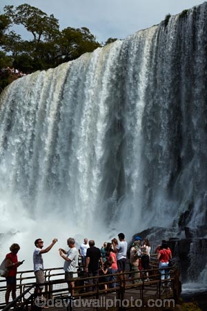 Argentina;Argentine-Republic;border;borders;Brasil;Brazil;cascade;cascades;Cataratas-del-IguazÃº;fall;falls;Iguacu-Falls;Iguacu-National-Park;Iguacu-River;Iguassu-Falls;Iguassu-National-Park;Iguazu-Falls;Iguazu-N.P.;Iguazu-National-Park;Iguazu-NP;Iguazu-River;IguazÃº-Falls;IguazÃº-N.P.;IguazÃº-National-Park;IguazÃº-NP;IguaÃ§u-Falls;IguaÃ§u-National-Park;Latin-America;lookout;lookouts;Misiones;Misiones-Province;mist;mists;misty;national-park;national-parks;natural;nature;Parana;Parana-State;ParanÃ¡;ParanÃ¡-State;people;person;scene;scenic;South-America;spray;Sth-America;The-Iguazu-Falls;tourism;tourist;tourists;travel;UN-world-heritage-area;UN-world-heritage-site;UNESCO-World-Heritage-area;UNESCO-World-Heritage-Site;united-nations-world-heritage-area;united-nations-world-heritage-site;viewing-platform;viewing-platforms;walkway;walkways;water;water-fall;water-falls;waterfall;waterfalls;wet;world-heritage;world-heritage-area;world-heritage-areas;World-Heritage-Park;World-Heritage-site;World-Heritage-Sites