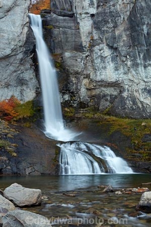 Argentina;Argentine-Patagonia;Argentine-Republic;autuminal;autumn;autumn-colour;autumn-colours;autumnal;cascade;cascades;Chorrillo-del-Salto;Chorrillo-Waterfall;color;colors;colour;colours;deciduous;El-Chalten;El-Chorrillo-Waterfall;fall;falls;Glacier-National-Park;gold;golden;Latin-America;leaf;leaves;Los-Glaciares;Los-Glaciares-N.P.;Los-Glaciares-National-Park;Los-Glaciares-NP;national-park;national-parks;natural;nature;NP;park;parks;Parque-Nacional-Los-Glaciares;Patagonia;Patagonian;Salto-El-Chorrillo;Santa-Cruz-Province;scene;scenic;season;seasonal;seasons;South-America;South-Argentina;Southern-Argentina;Sth-America;travel;tree;trees;UN-world-heritage-area;UN-world-heritage-site;UNESCO-World-Heritage-area;UNESCO-World-Heritage-Site;united-nations-world-heritage-area;united-nations-world-heritage-site;water;water-fall;water-falls;waterfall;waterfalls;wet;world-heritage;world-heritage-area;world-heritage-areas;World-Heritage-Park;World-Heritage-site;World-Heritage-Sites;yellow