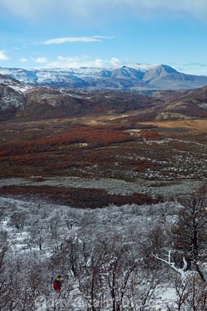 Argentina;Argentine-Patagonia;Argentine-Republic;cold;El-Chalten;forest;forests;Glacier-National-Park;Latin-America;Los-Glaciares;Los-Glaciares-N.P.;Los-Glaciares-National-Park;Los-Glaciares-NP;mountain;mountains;national-park;national-parks;NP;park;parks;Parque-Nacional-Los-Glaciares;Patagonia;Patagonian;Santa-Cruz-Province;snow;snowy;snowy-forest;South-America;South-Argentina;Southern-Argentina;Sth-America;UN-world-heritage-area;UN-world-heritage-site;UNESCO-World-Heritage-area;UNESCO-World-Heritage-Site;united-nations-world-heritage-area;united-nations-world-heritage-site;world-heritage;world-heritage-area;world-heritage-areas;World-Heritage-Park;World-Heritage-site;World-Heritage-Sites