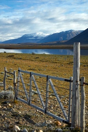 agricultural;agriculture;Argentina;Argentine-Patagonia;Argentine-Republic;country;countryside;El-Chalten;farm;farming;farmland;farms;field;fields;gate;gates;gateway;gateways;lake;lakes;Latin-America;meadow;meadows;paddock;paddocks;pasture;pastures;Patagonia;Patagonian;Patagonian-steppe;rural;Santa-Cruz-Province;South-America;South-Argentina;Southern-Argentina;Sth-America
