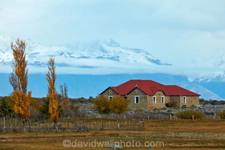 agricultural;agriculture;Argentina;Argentine-Patagonia;Argentine-Republic;autuminal;autumn;autumn-colour;autumn-colours;autumnal;color;colors;colour;colours;country;countryside;deciduous;fall;farm;farmhouse;farmhouses;farming;farmland;farms;field;fields;gold;golden;house;house-houses;houses;Latin-America;leaf;leaves;meadow;meadows;paddock;paddocks;pasture;pastures;Patagonia;Patagonian;Patagonian-steppe;rural;Santa-Cruz-Province;season;seasonal;seasons;South-America;South-Argentina;Southern-Argentina;Sth-America;tree;trees;yellow