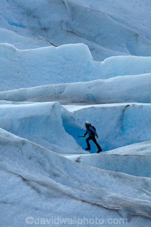 Argentina;Argentine-Patagonia;Argentine-Republic;blue-ice;cold;Glaciar-Perito-Moreno;glacier;glacier-guide;glacier-guides;glacier-hiking;Glacier-National-Park;glacier-trekking;glaciers;guide;guides;Heilo-amp;-Aventura;Hielo-and-Aventura;hiker;hikers;ice;ice-hiking;ice-trekking;icefield;icefields;icy;Latin-America;Los-Glaciares;Los-Glaciares-N.P.;Los-Glaciares-National-Park;Los-Glaciares-NP;national-park;national-parks;NP;park;parks;Parque-Nacional-Los-Glaciares;Patagonia;Patagonian;people;Perito-Moreno;Perito-Moreno-Glacier;person;Santa-Cruz-Province;South-America;South-Argentina;Southern-Argentina;Sth-America;tourism;tourist;tourists;travel;trekker;trekkers;UN-world-heritage-area;UN-world-heritage-site;UNESCO-World-Heritage-area;UNESCO-World-Heritage-Site;united-nations-world-heritage-area;united-nations-world-heritage-site;walker;walkers;world-heritage;world-heritage-area;world-heritage-areas;World-Heritage-Park;World-Heritage-site;World-Heritage-Sites