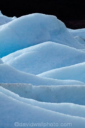 Argentina;Argentine-Patagonia;Argentine-Republic;cold;Glaciar-Perito-Moreno;glacier;Glacier-National-Park;glaciers;ice;icefield;icefields;icy;Latin-America;Los-Glaciares;Los-Glaciares-N.P.;Los-Glaciares-National-Park;Los-Glaciares-NP;national-park;national-parks;NP;park;parks;Parque-Nacional-Los-Glaciares;Patagonia;Patagonian;Perito-Moreno;Perito-Moreno-Glacier;Santa-Cruz-Province;South-America;South-Argentina;Southern-Argentina;Sth-America;travel;UN-world-heritage-area;UN-world-heritage-site;UNESCO-World-Heritage-area;UNESCO-World-Heritage-Site;united-nations-world-heritage-area;united-nations-world-heritage-site;world-heritage;world-heritage-area;world-heritage-areas;World-Heritage-Park;World-Heritage-site;World-Heritage-Sites