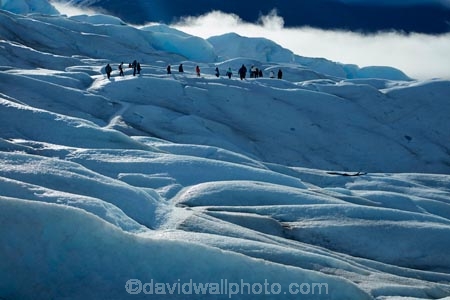 adventure-travel;Argentina;Argentine-Patagonia;Argentine-Republic;cold;Glaciar-Perito-Moreno;glacier;glacier-hiking;Glacier-National-Park;glacier-trekking;glaciers;Heilo-amp;-Aventura;Hielo-and-Aventura;hiker;hikers;ice;ice-hiking;ice-trekking;icefield;icefields;icy;Latin-America;Los-Glaciares;Los-Glaciares-N.P.;Los-Glaciares-National-Park;Los-Glaciares-NP;national-park;national-parks;NP;park;parks;Parque-Nacional-Los-Glaciares;Patagonia;Patagonian;people;Perito-Moreno;Perito-Moreno-Glacier;person;Santa-Cruz-Province;South-America;South-Argentina;Southern-Argentina;Sth-America;tourism;tourist;tourists;travel;trekker;trekkers;UN-world-heritage-area;UN-world-heritage-site;UNESCO-World-Heritage-area;UNESCO-World-Heritage-Site;united-nations-world-heritage-area;united-nations-world-heritage-site;walker;walkers;world-heritage;world-heritage-area;world-heritage-areas;World-Heritage-Park;World-Heritage-site;World-Heritage-Sites
