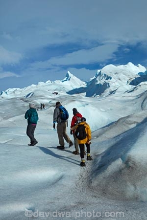 adventure-travel;Argentina;Argentine-Patagonia;Argentine-Republic;cold;Glaciar-Perito-Moreno;glacier;glacier-hiking;Glacier-National-Park;glacier-trekking;glaciers;Heilo-amp;-Aventura;Hielo-and-Aventura;hiker;hikers;ice;ice-hiking;ice-trekking;icefield;icefields;icy;Latin-America;Los-Glaciares;Los-Glaciares-N.P.;Los-Glaciares-National-Park;Los-Glaciares-NP;national-park;national-parks;NP;park;parks;Parque-Nacional-Los-Glaciares;Patagonia;Patagonian;people;Perito-Moreno;Perito-Moreno-Glacier;person;Santa-Cruz-Province;South-America;South-Argentina;Southern-Argentina;Sth-America;tourism;tourist;tourists;travel;trekker;trekkers;UN-world-heritage-area;UN-world-heritage-site;UNESCO-World-Heritage-area;UNESCO-World-Heritage-Site;united-nations-world-heritage-area;united-nations-world-heritage-site;walker;walkers;world-heritage;world-heritage-area;world-heritage-areas;World-Heritage-Park;World-Heritage-site;World-Heritage-Sites