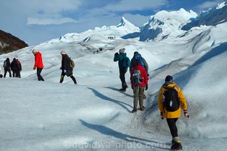 adventure-travel;Argentina;Argentine-Patagonia;Argentine-Republic;cold;Glaciar-Perito-Moreno;glacier;glacier-hiking;Glacier-National-Park;glacier-trekking;glaciers;Heilo-amp;-Aventura;Hielo-and-Aventura;hiker;hikers;ice;ice-hiking;ice-trekking;icefield;icefields;icy;Latin-America;Los-Glaciares;Los-Glaciares-N.P.;Los-Glaciares-National-Park;Los-Glaciares-NP;national-park;national-parks;NP;park;parks;Parque-Nacional-Los-Glaciares;Patagonia;Patagonian;people;Perito-Moreno;Perito-Moreno-Glacier;person;Santa-Cruz-Province;South-America;South-Argentina;Southern-Argentina;Sth-America;tourism;tourist;tourists;travel;trekker;trekkers;UN-world-heritage-area;UN-world-heritage-site;UNESCO-World-Heritage-area;UNESCO-World-Heritage-Site;united-nations-world-heritage-area;united-nations-world-heritage-site;walker;walkers;world-heritage;world-heritage-area;world-heritage-areas;World-Heritage-Park;World-Heritage-site;World-Heritage-Sites