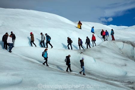 adventure-travel;Argentina;Argentine-Patagonia;Argentine-Republic;cold;Glaciar-Perito-Moreno;glacier;glacier-hiking;Glacier-National-Park;glacier-trekking;glaciers;Heilo-amp;-Aventura;Hielo-and-Aventura;hiker;hikers;ice;ice-hiking;ice-trekking;icefield;icefields;icy;Latin-America;Los-Glaciares;Los-Glaciares-N.P.;Los-Glaciares-National-Park;Los-Glaciares-NP;national-park;national-parks;NP;park;parks;Parque-Nacional-Los-Glaciares;Patagonia;Patagonian;people;Perito-Moreno;Perito-Moreno-Glacier;person;Santa-Cruz-Province;South-America;South-Argentina;Southern-Argentina;Sth-America;tourism;tourist;tourists;travel;trekker;trekkers;UN-world-heritage-area;UN-world-heritage-site;UNESCO-World-Heritage-area;UNESCO-World-Heritage-Site;united-nations-world-heritage-area;united-nations-world-heritage-site;walker;walkers;world-heritage;world-heritage-area;world-heritage-areas;World-Heritage-Park;World-Heritage-site;World-Heritage-Sites