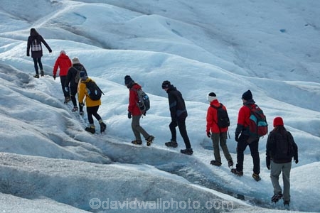 adventure-travel;Argentina;Argentine-Patagonia;Argentine-Republic;cold;Glaciar-Perito-Moreno;glacier;glacier-hiking;Glacier-National-Park;glacier-trekking;glaciers;Heilo-amp;-Aventura;Hielo-and-Aventura;hiker;hikers;ice;ice-hiking;ice-trekking;icefield;icefields;icy;Latin-America;Los-Glaciares;Los-Glaciares-N.P.;Los-Glaciares-National-Park;Los-Glaciares-NP;national-park;national-parks;NP;park;parks;Parque-Nacional-Los-Glaciares;Patagonia;Patagonian;people;Perito-Moreno;Perito-Moreno-Glacier;person;Santa-Cruz-Province;South-America;South-Argentina;Southern-Argentina;Sth-America;tourism;tourist;tourists;travel;trekker;trekkers;UN-world-heritage-area;UN-world-heritage-site;UNESCO-World-Heritage-area;UNESCO-World-Heritage-Site;united-nations-world-heritage-area;united-nations-world-heritage-site;walker;walkers;world-heritage;world-heritage-area;world-heritage-areas;World-Heritage-Park;World-Heritage-site;World-Heritage-Sites