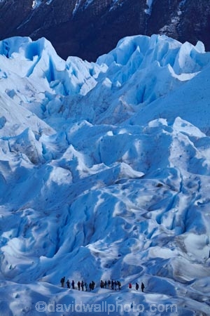 Argentina;Argentine-Patagonia;Argentine-Republic;blue-ice;cold;Glaciar-Perito-Moreno;glacier;glacier-hiking;Glacier-National-Park;glacier-trekking;glaciers;Heilo-amp;-Aventura;Hielo-and-Aventura;hiker;hikers;ice;ice-hiking;ice-trekking;icefield;icefields;icy;Latin-America;Los-Glaciares;Los-Glaciares-N.P.;Los-Glaciares-National-Park;Los-Glaciares-NP;national-park;national-parks;NP;park;parks;Parque-Nacional-Los-Glaciares;Patagonia;Patagonian;people;Perito-Moreno;Perito-Moreno-Glacier;person;Santa-Cruz-Province;South-America;South-Argentina;Southern-Argentina;Sth-America;tourism;tourist;tourists;travel;trekker;trekkers;UN-world-heritage-area;UN-world-heritage-site;UNESCO-World-Heritage-area;UNESCO-World-Heritage-Site;united-nations-world-heritage-area;united-nations-world-heritage-site;walker;walkers;world-heritage;world-heritage-area;world-heritage-areas;World-Heritage-Park;World-Heritage-site;World-Heritage-Sites
