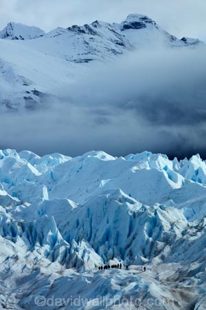 adventure-travel;Argentina;Argentine-Patagonia;Argentine-Republic;cold;crevasse;crevasses;Glaciar-Perito-Moreno;glacier;glacier-hiking;Glacier-National-Park;glacier-trekking;glaciers;Heilo-amp;-Aventura;Hielo-and-Aventura;hiker;hikers;ice;ice-hiking;ice-trekking;icefield;icefields;icy;Latin-America;Los-Glaciares;Los-Glaciares-N.P.;Los-Glaciares-National-Park;Los-Glaciares-NP;national-park;national-parks;NP;park;parks;Parque-Nacional-Los-Glaciares;Patagonia;Patagonian;people;Perito-Moreno;Perito-Moreno-Glacier;person;Santa-Cruz-Province;South-America;South-Argentina;Southern-Argentina;Sth-America;tourism;tourist;tourists;travel;trekker;trekkers;UN-world-heritage-area;UN-world-heritage-site;UNESCO-World-Heritage-area;UNESCO-World-Heritage-Site;united-nations-world-heritage-area;united-nations-world-heritage-site;walker;walkers;world-heritage;world-heritage-area;world-heritage-areas;World-Heritage-Park;World-Heritage-site;World-Heritage-Sites