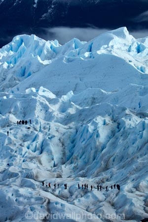adventure-travel;Argentina;Argentine-Patagonia;Argentine-Republic;cold;crevasse;crevasses;Glaciar-Perito-Moreno;glacier;glacier-hiking;Glacier-National-Park;glacier-trekking;glaciers;Heilo-amp;-Aventura;Hielo-and-Aventura;hiker;hikers;ice;ice-hiking;ice-trekking;icefield;icefields;icy;Latin-America;Los-Glaciares;Los-Glaciares-N.P.;Los-Glaciares-National-Park;Los-Glaciares-NP;national-park;national-parks;NP;park;parks;Parque-Nacional-Los-Glaciares;Patagonia;Patagonian;people;Perito-Moreno;Perito-Moreno-Glacier;person;Santa-Cruz-Province;South-America;South-Argentina;Southern-Argentina;Sth-America;tourism;tourist;tourists;travel;trekker;trekkers;UN-world-heritage-area;UN-world-heritage-site;UNESCO-World-Heritage-area;UNESCO-World-Heritage-Site;united-nations-world-heritage-area;united-nations-world-heritage-site;walker;walkers;world-heritage;world-heritage-area;world-heritage-areas;World-Heritage-Park;World-Heritage-site;World-Heritage-Sites