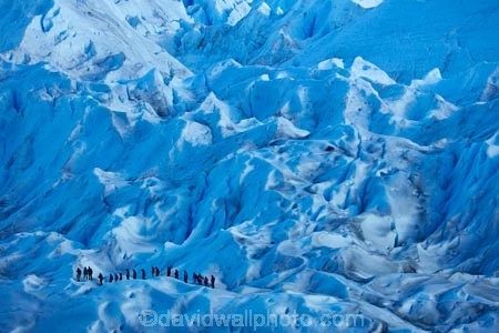 Argentina;Argentine-Patagonia;Argentine-Republic;blue-ice;cold;crevasse;crevasses;Glaciar-Perito-Moreno;glacier;glacier-hiking;Glacier-National-Park;glacier-trekking;glaciers;Heilo-amp;-Aventura;Hielo-and-Aventura;hiker;hikers;ice;ice-hiking;ice-trekking;icefield;icefields;icy;Latin-America;Los-Glaciares;Los-Glaciares-N.P.;Los-Glaciares-National-Park;Los-Glaciares-NP;national-park;national-parks;NP;park;parks;Parque-Nacional-Los-Glaciares;Patagonia;Patagonian;people;Perito-Moreno;Perito-Moreno-Glacier;person;Santa-Cruz-Province;South-America;South-Argentina;Southern-Argentina;Sth-America;tourism;tourist;tourists;travel;trekker;trekkers;UN-world-heritage-area;UN-world-heritage-site;UNESCO-World-Heritage-area;UNESCO-World-Heritage-Site;united-nations-world-heritage-area;united-nations-world-heritage-site;walker;walkers;world-heritage;world-heritage-area;world-heritage-areas;World-Heritage-Park;World-Heritage-site;World-Heritage-Sites